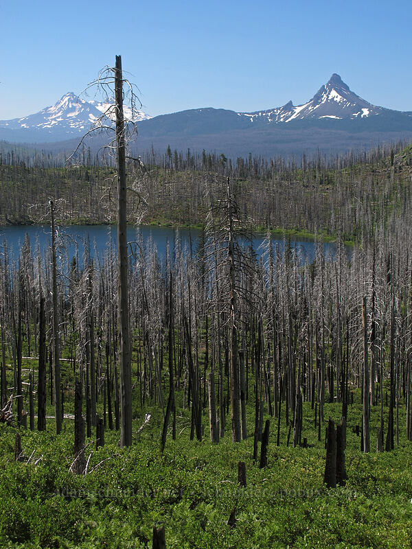 Mt. Washington, Three Sisters, & Square Lake [Summit Lake Trail #2014, Mt. Jefferson Wilderness, Jefferson County, Oregon]