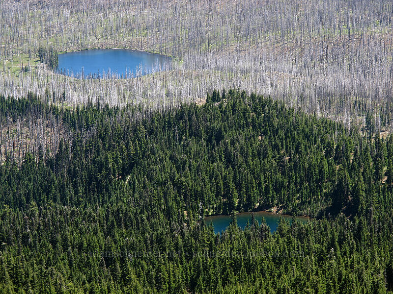 Booth Lake & Summit Lake [south ridge of Three-Fingered Jack, Mt. Jefferson Wilderness, Linn County, Oregon]