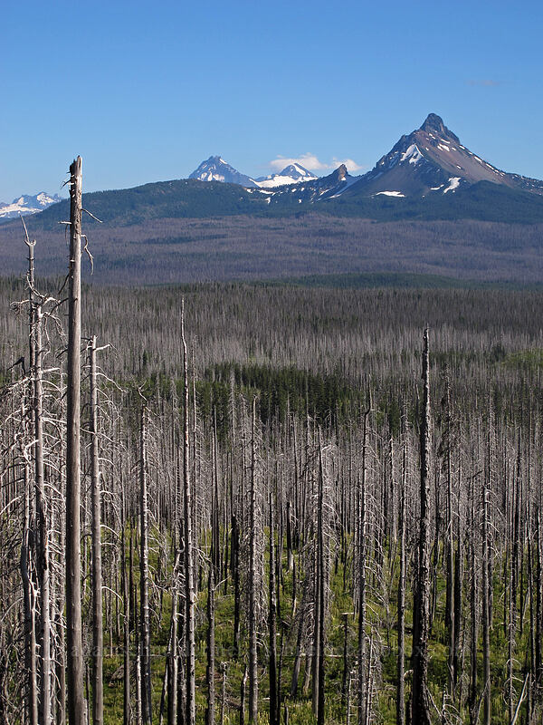 Mt. Washington & Three Sisters [Pacific Crest Trail, Mt. Jefferson Wilderness, Linn County, Oregon]