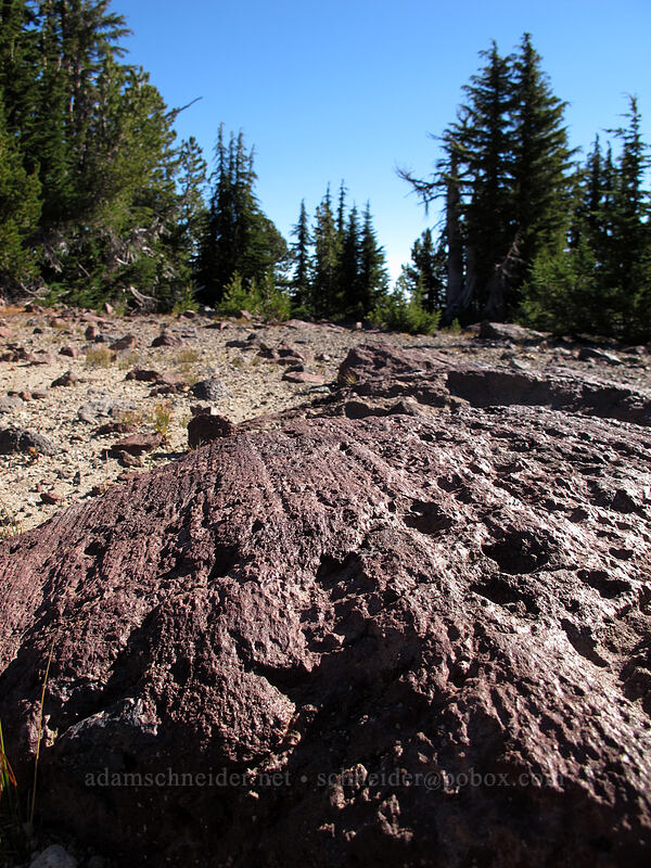 glacial striations on volcanic rock [Tam McArthur Trail, Three Sisters Wilderness, Deschutes County, Oregon]