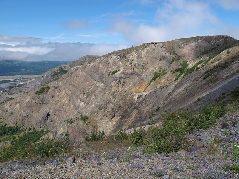 Johnston Ridge [Boundary Trail, Mt. St. Helens National Volcanic Monument, Skamania County, Washington]