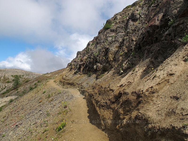 narrow trail [Boundary Trail, Mt. St. Helens National Volcanic Monument, Skamania County, Washington]