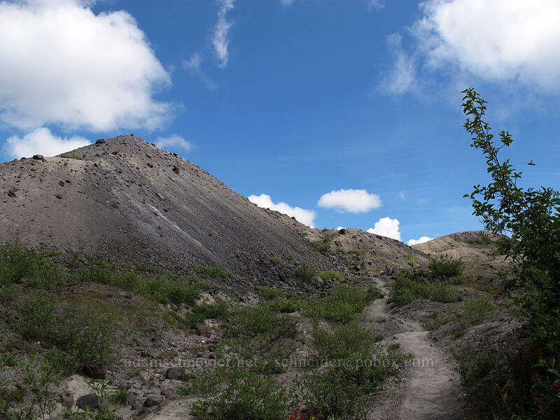 hummocks [Boundary Trail, Mt. St. Helens National Volcanic Monument, Skamania County, Washington]