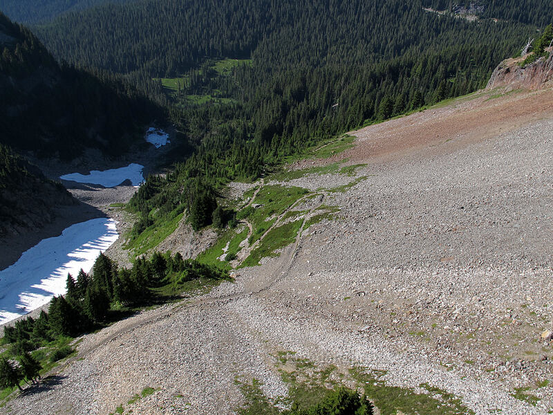 talus and trail below [Pinnacle Peak, Mount Rainier National Park, Lewis County, Washington]