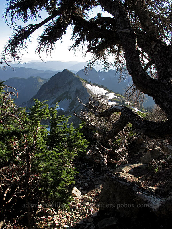 Plummer Peak, framed by conifers [Pinnacle Peak, Mount Rainier National Park, Lewis County, Washington]