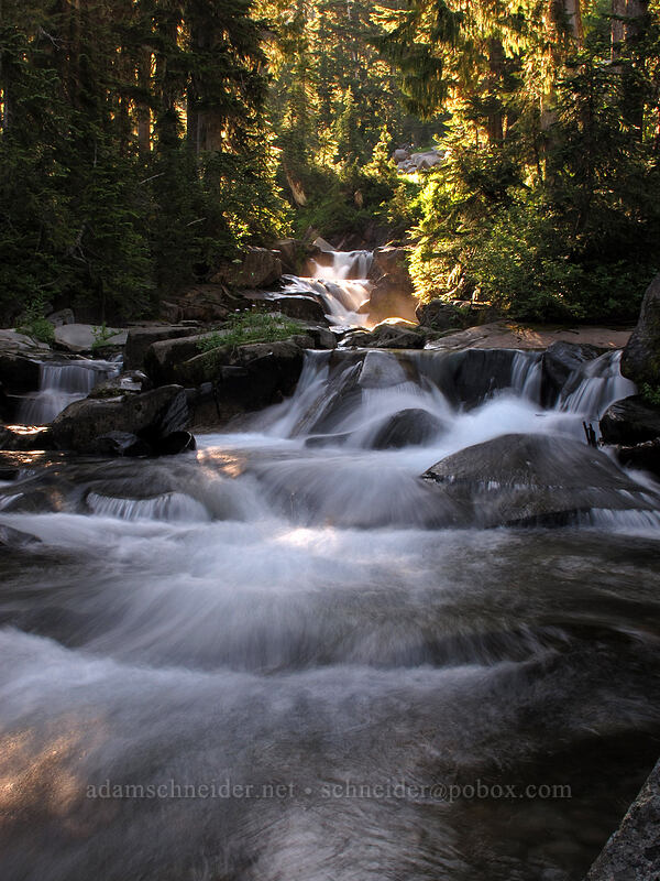 Paradise River [Lakes Trail, Mount Rainier National Park, Lewis County, Washington]