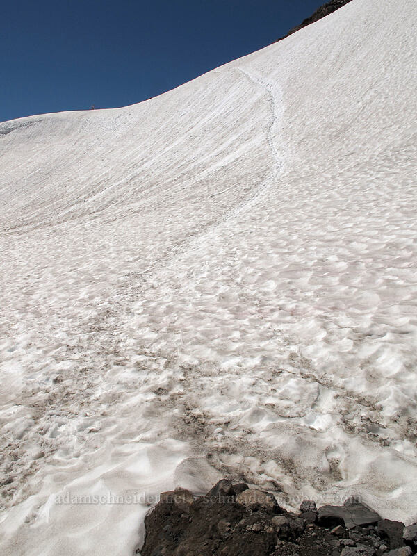 trail across the snow [Skyline Trail, Mount Rainier National Park, Pierce County, Washington]
