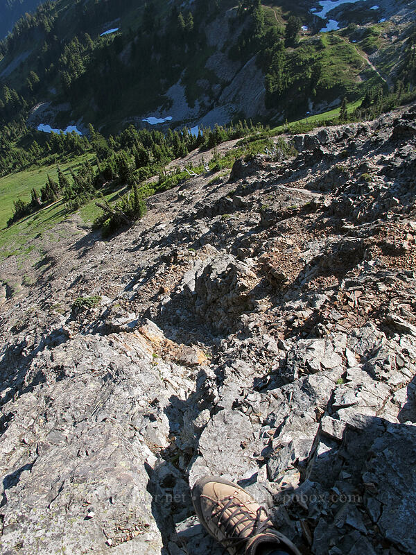 view back down toward the saddle [Pinnacle Peak, Mount Rainier National Park, Lewis County, Washington]