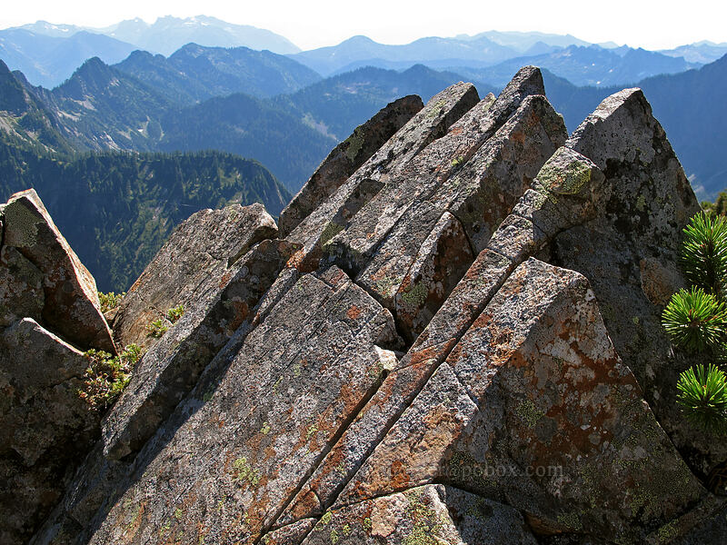 broken, angled rock [Gothic Peak, Morning Star NRCA, Snohomish County, Washington]
