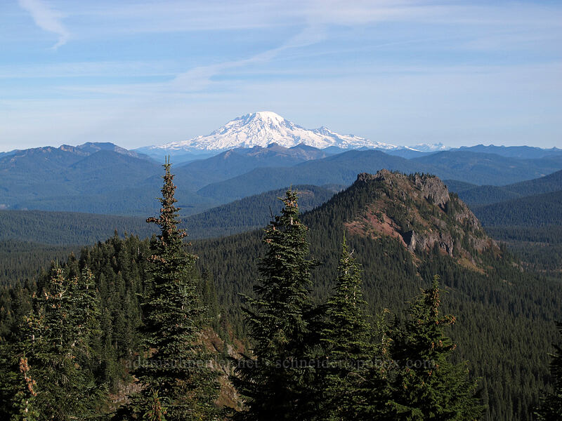 Mt. Rainier & Sawtooth Mountain [Bird Mountain, Indian Heaven Wilderness, Skamania County, Washington]