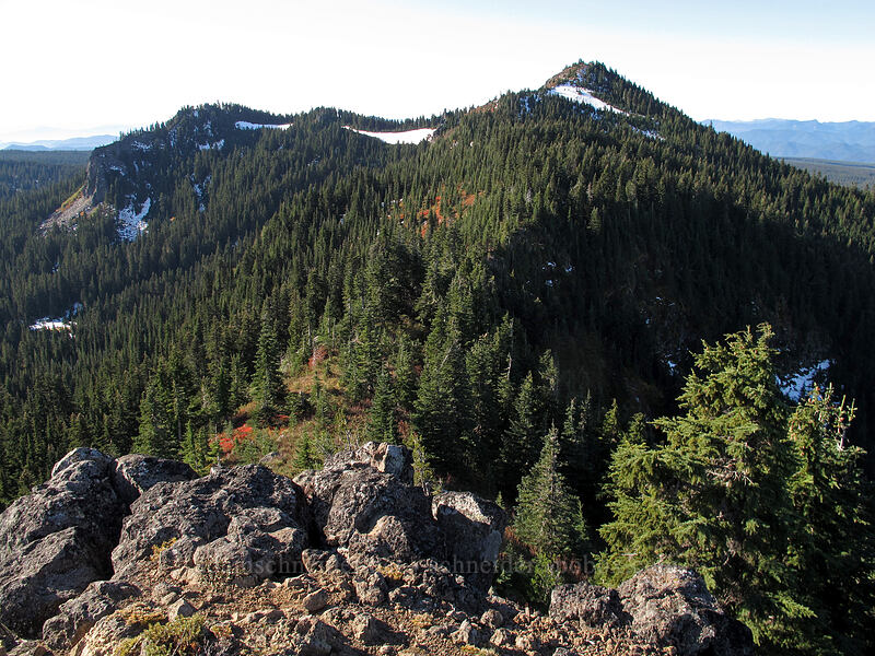 Bird Mountain [Bird Mountain, Peak 5568, Indian Heaven Wilderness, Skamania County, Washington]