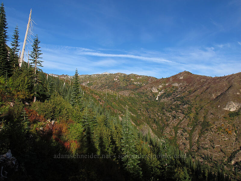 Norway Pass & Bear Pass [Boundary Trail, Gifford Pinchot National Forest, Skamania County, Washington]