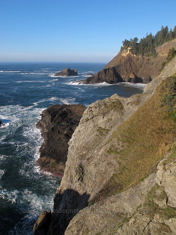 northern tip of Cape Falcon [Cape Falcon Trail, Oswald West State Park, Tillamook County, Oregon]