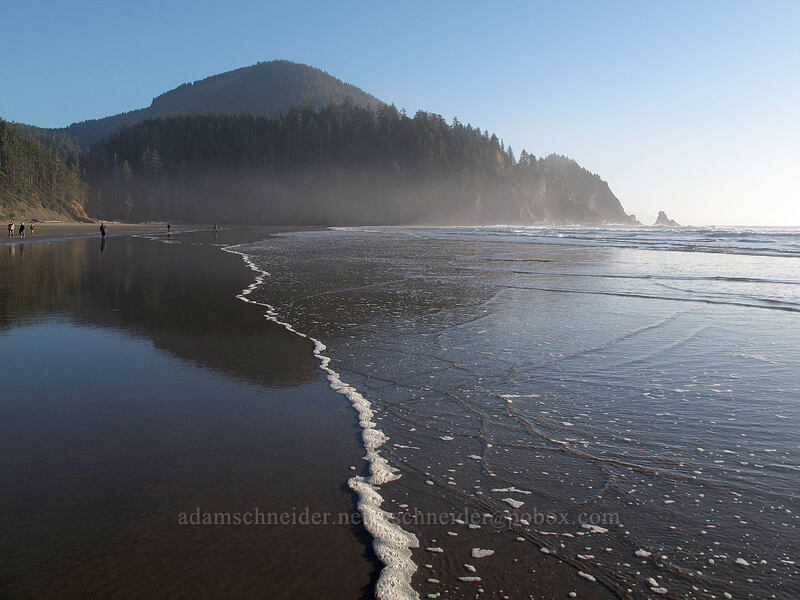 beach at low tide [Short Sands Beach, Oswald West State Park, Tillamook County, Oregon]