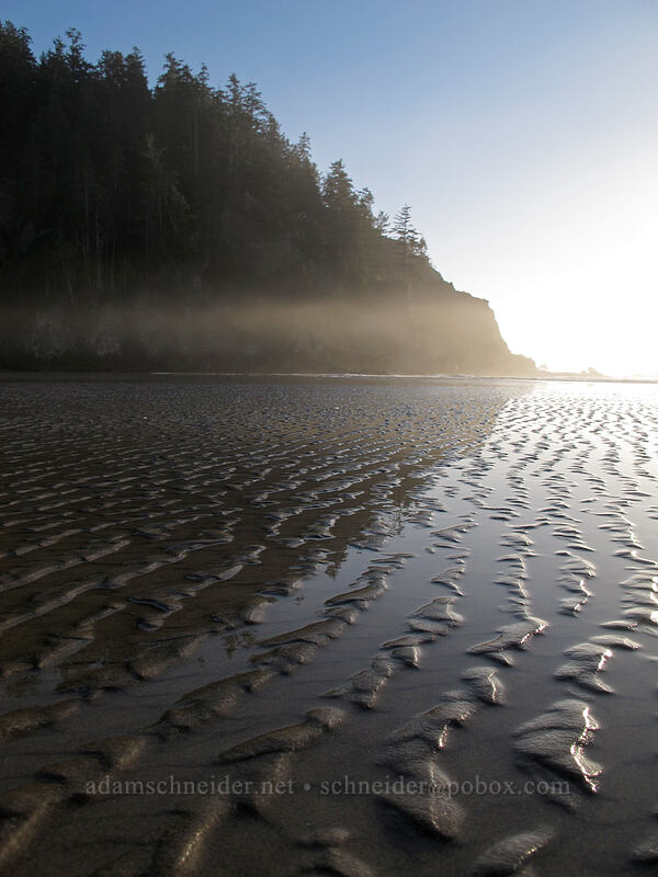 ripples in the sand [Short Sands Beach, Oswald West State Park, Tillamook County, Oregon]
