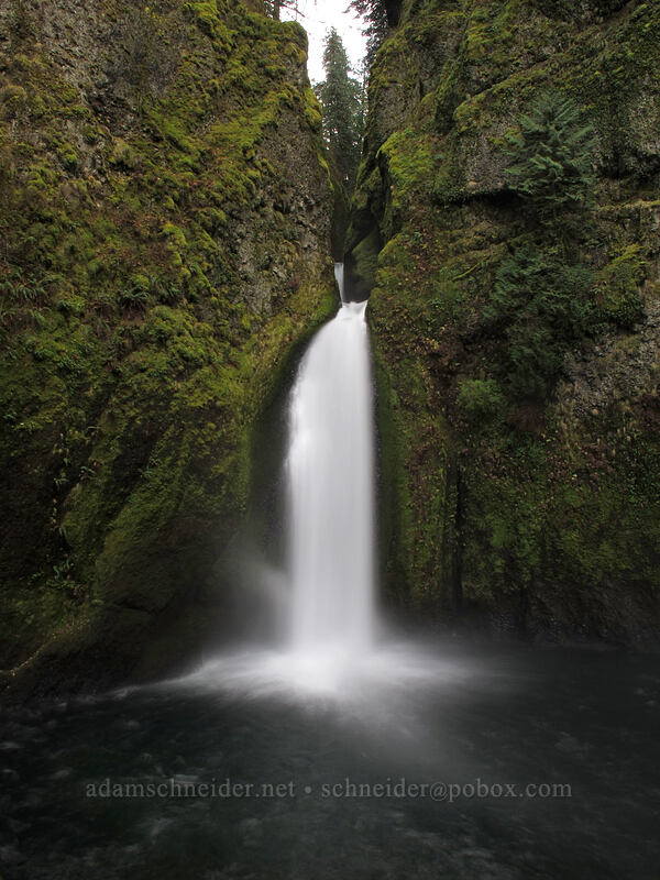 Wahclella Falls [Wahclella Falls Trail, Columbia River Gorge, Multnomah County, Oregon]