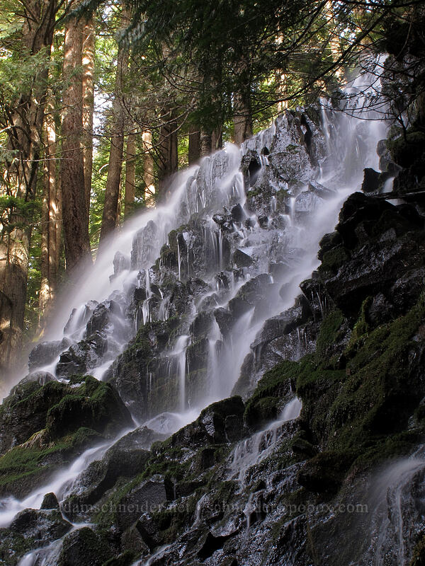 side view of Ramona Falls [Ramona Falls, Mt. Hood Wilderness, Clackamas County, Oregon]