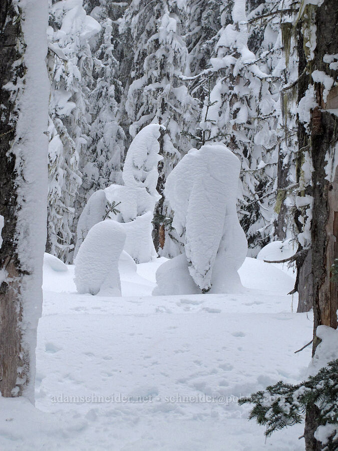 The Headless Snowman [Boy Scout Ridge, Mt. Hood National Forest, Hood River County, Oregon]