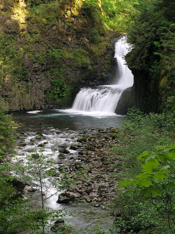 Skoonichuk Falls [Eagle Creek Trail, Columbia River Gorge, Hood River County, Oregon]