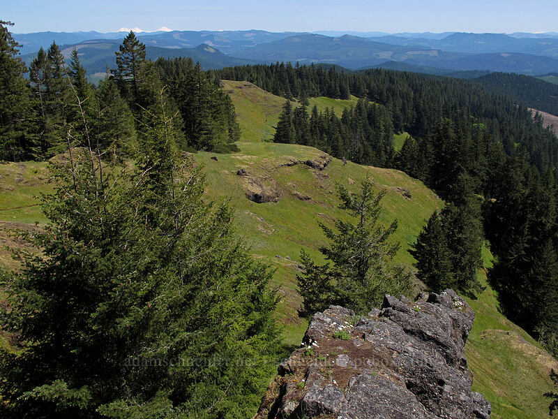 Horse Rock Ridge [Horse Rock Ridge, Linn County, Oregon]