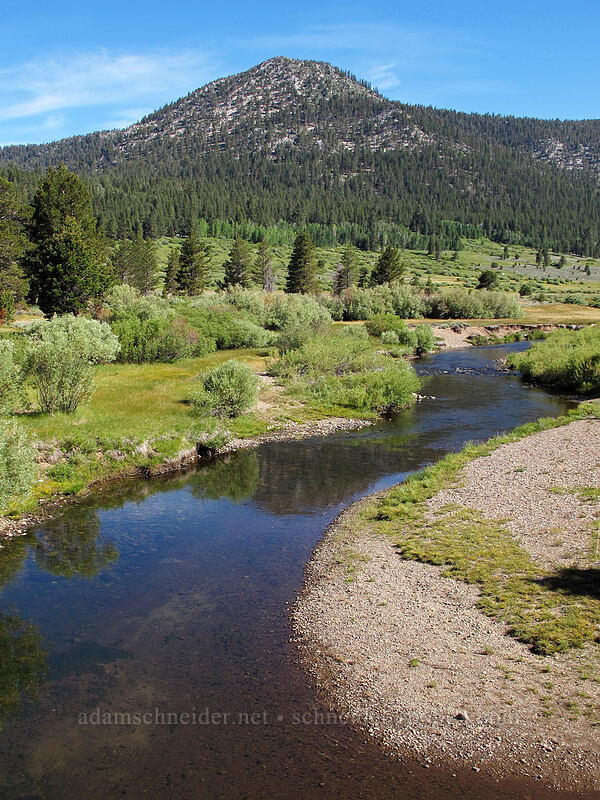 Thompson Peak & the West Fork Carson River [CA-88, Toiyabe National Forest, Alpine County, California]