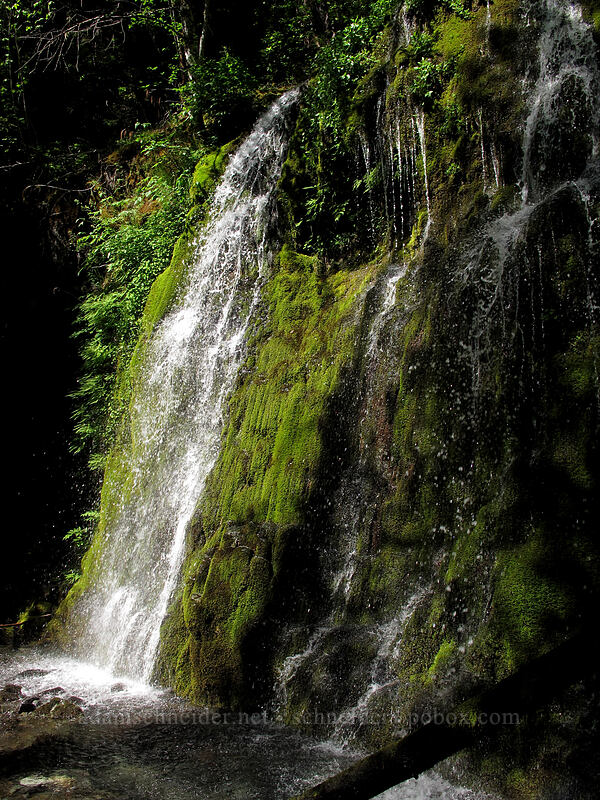 Flume Creek Falls [Kopetski Trail, Opal Creek Scenic Recreation Area, Marion County, Oregon]