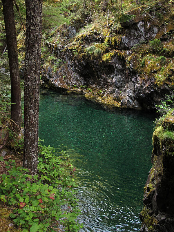 Opal Pool [Kopetski Trail, Opal Creek Scenic Recreation Area, Marion County, Oregon]