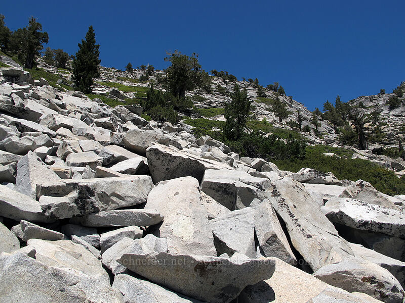 granite talus slope [Pyramid Creek, Desolation Wilderness, El Dorado County, California]