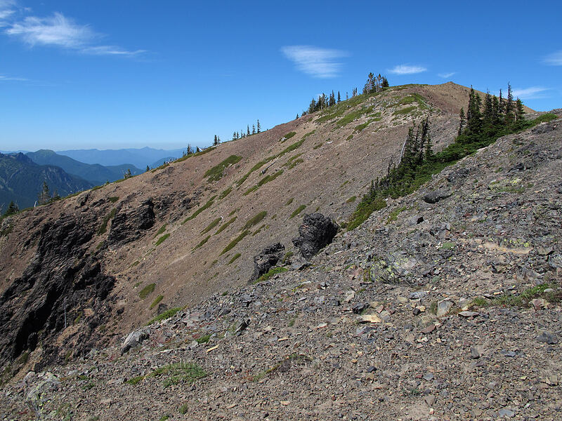 Jumbo Peak's summit ridge [Jumbo Peak, Gifford Pinchot National Forest, Skamania County, Washington]
