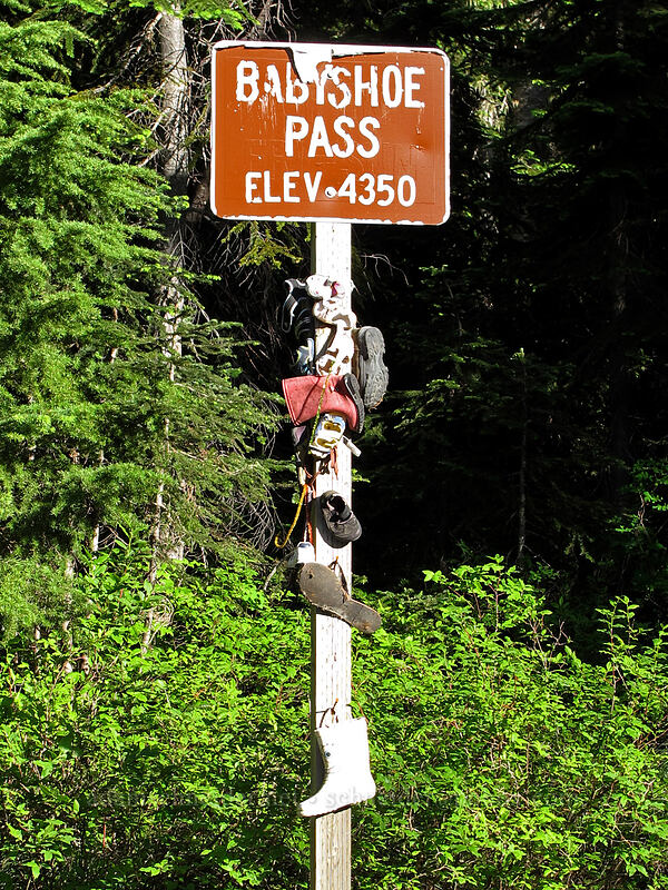 Babyshoe Pass sign [Forest Road 23, Gifford Pinchot National Forest, Skamania County, Washington]