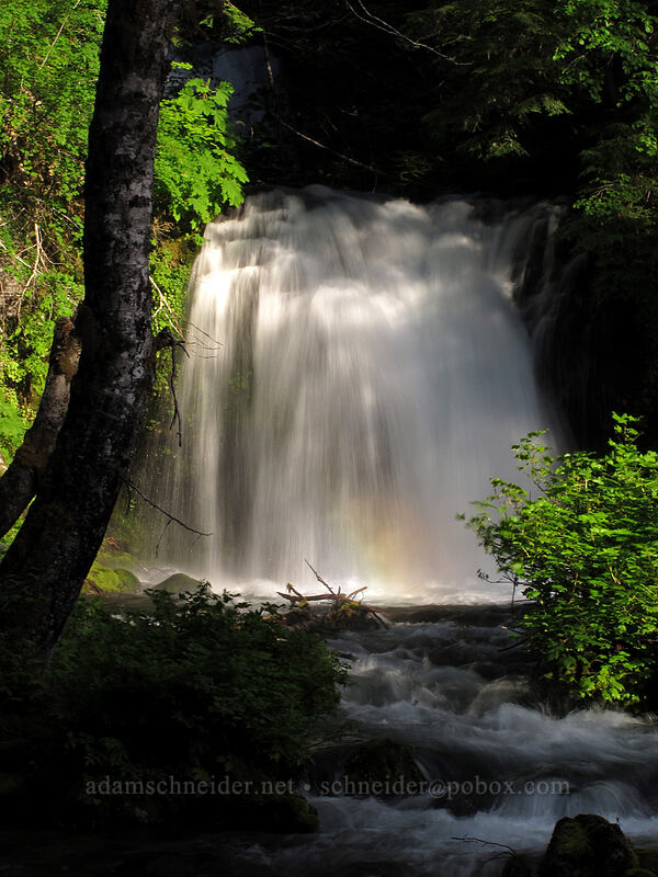 Twin Falls [Twin Falls Campground, Gifford Pinchot National Forest, Skamania County, Washington]