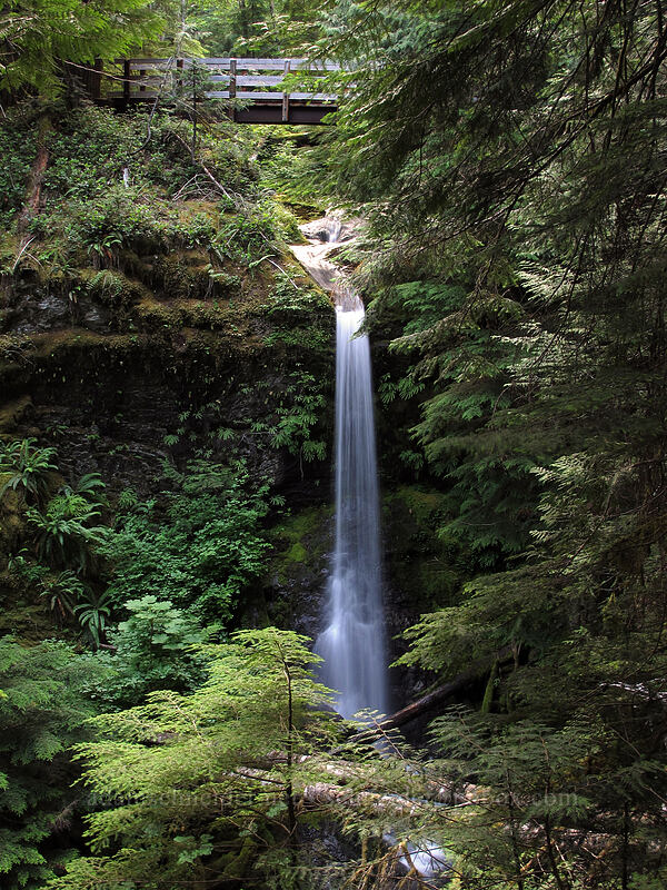 Copper Creek Falls [Middle Falls Trail, Gifford Pinchot National Forest, Skamania County, Washington]