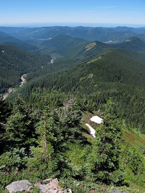 Bald Mountain Ridge & Muddy Fork [McNeil Point scramble trail, Mt. Hood Wilderness, Clackamas County, Oregon]