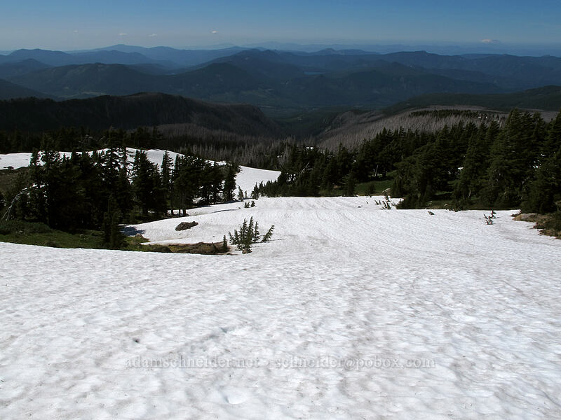 long snowfield [above Cairn Basin, Mt. Hood Wilderness, Hood River County, Oregon]