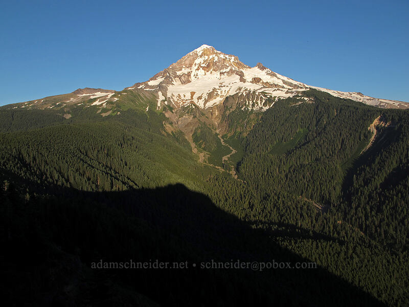 Mount Hood & Bald Mountain's shadow [Bald Mountain summit, Mt. Hood Wilderness, Clackamas County, Oregon]