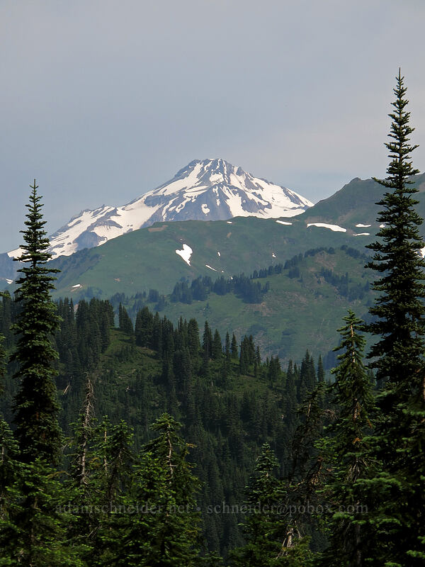Glacier Peak [Cady Ridge Trail, Henry M. Jackson Wilderness, Chelan County, Washington]