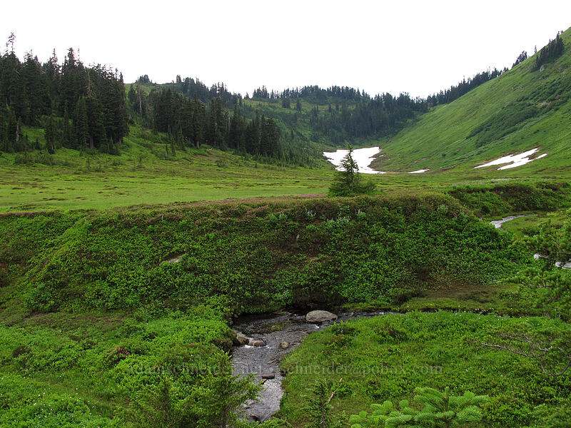 Meander Meadow [Little Wenatchee Trail, Henry M. Jackson Wilderness, Chelan County, Washington]
