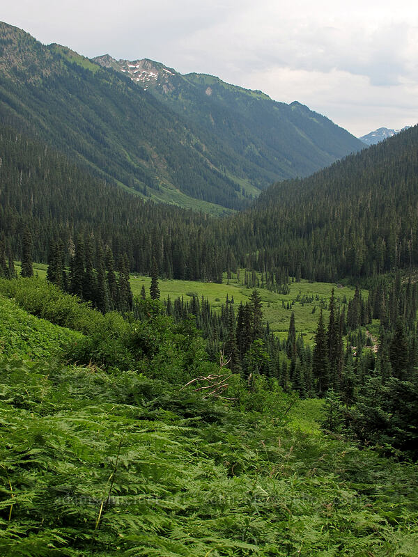 Little Wenatchee Valley [Little Wenatchee Trail, Henry M. Jackson Wilderness, Chelan County, Washington]