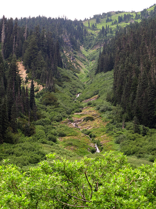 stream flowing into the Little Wenatchee [Little Wenatchee Trail, Henry M. Jackson Wilderness, Chelan County, Washington]