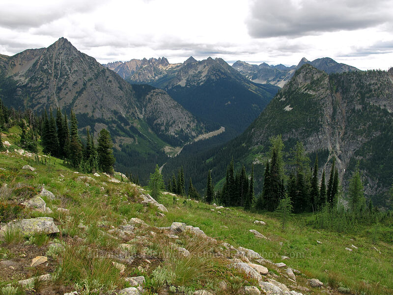 view to the east [Maple Pass Trail, Okanogan-Wenatchee National Forest, Chelan County, Washington]