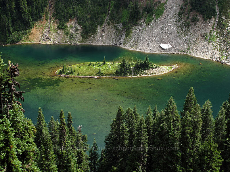 island in Lake Ann [Maple Pass Trail, Okanogan-Wenatchee National Forest, Chelan County, Washington]