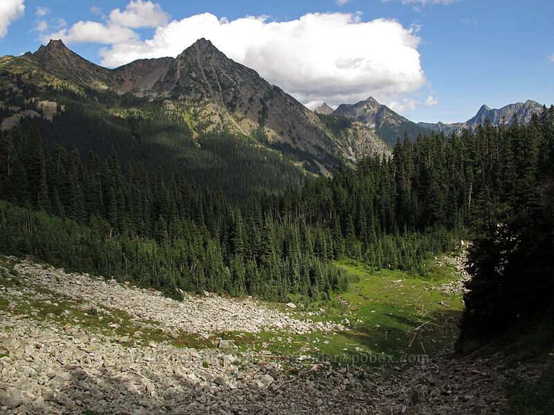 Whistler Mountain & avalanche scar [Maple Pass Trail, Okanogan-Wenatchee National Forest, Chelan County, Washington]