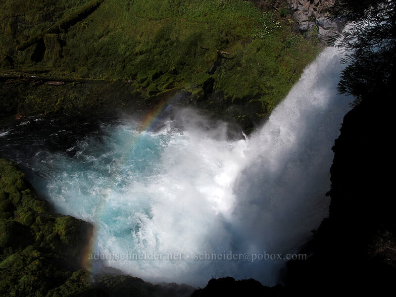 Sahalie Falls [Waterfalls Loop Trail, Willamette National Forest, Linn County, Oregon]