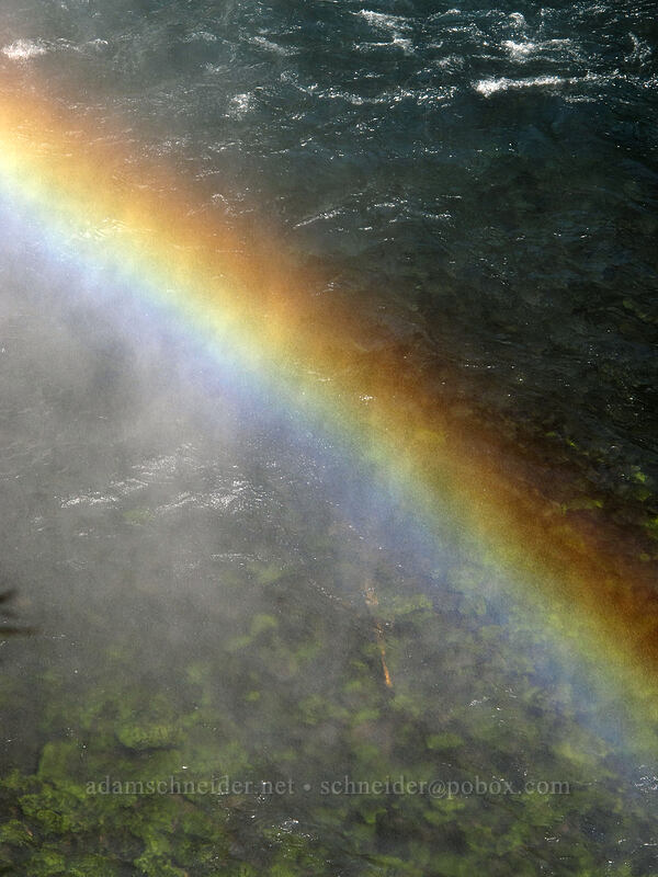 rainbow [McKenzie River Trail, Willamette National Forest, Linn County, Oregon]