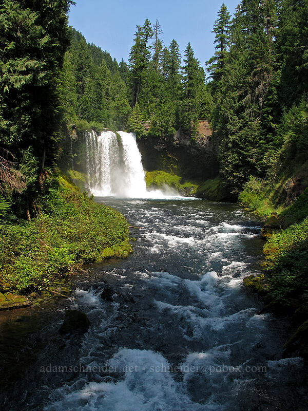 Koosah Falls [Waterfalls Loop Trail, Willamette National Forest, Linn County, Oregon]