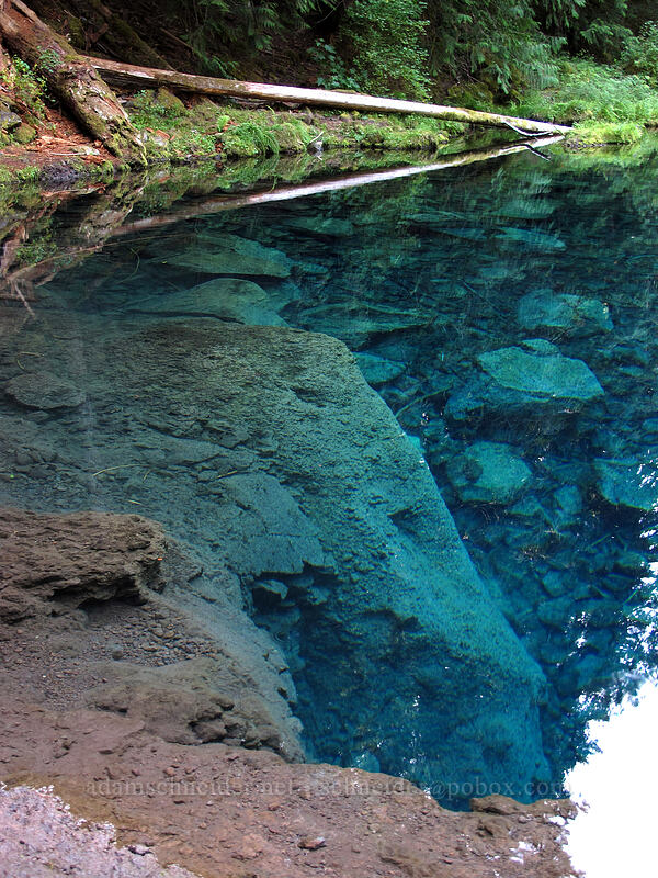 Blue Pool [Tamolitch Pool, Willamette National Forest, Linn County, Oregon]