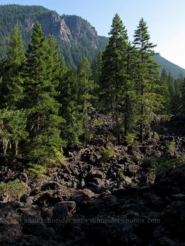 cliffs & lava [Proxy Falls Trail, Willamette National Forest, Lane County, Oregon]