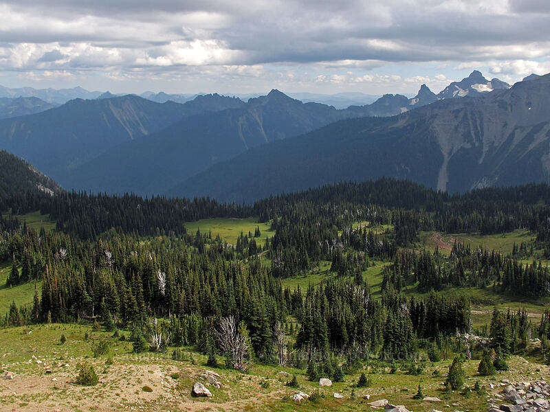 view to the southeast [Sourdough Ridge Trail, Mount Rainier National Park, Pierce County, Washington]