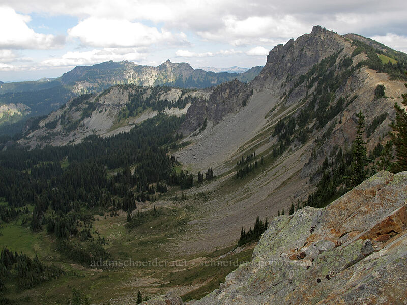 view to the northeast [Sourdough Ridge Trail, Mount Rainier National Park, Pierce County, Washington]