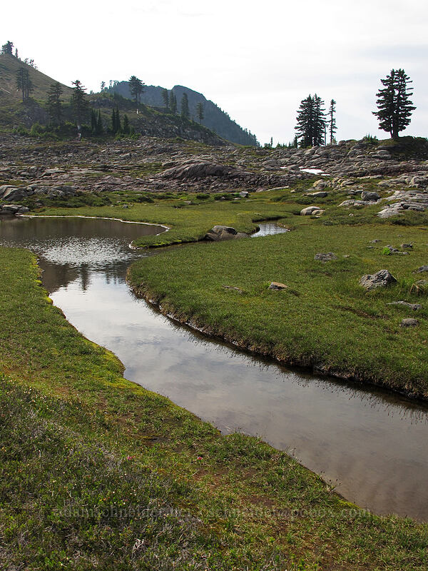 ponds [east of Park Butte, Mount Baker-Snoqualmie National Forest, Whatcom County, Washington]